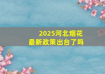 2025河北烟花最新政策出台了吗