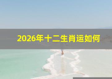 2026年十二生肖运如何