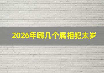 2026年哪几个属相犯太岁