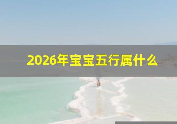 2026年宝宝五行属什么