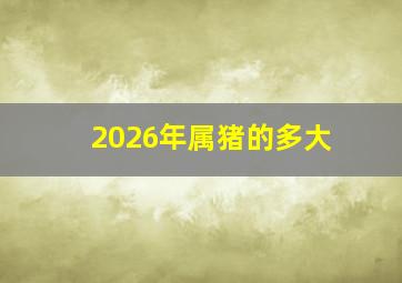 2026年属猪的多大