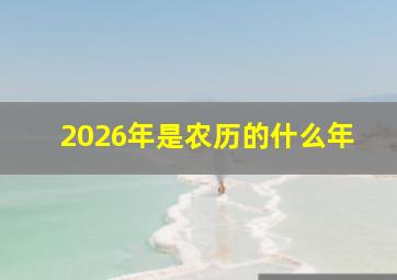 2026年是农历的什么年