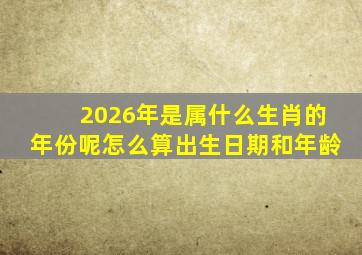 2026年是属什么生肖的年份呢怎么算出生日期和年龄