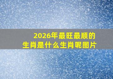 2026年最旺最顺的生肖是什么生肖呢图片