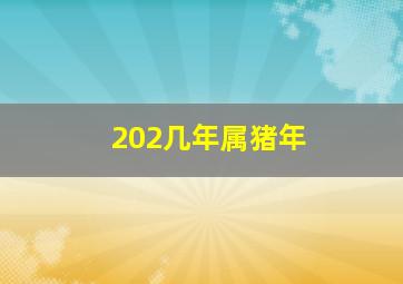 202几年属猪年