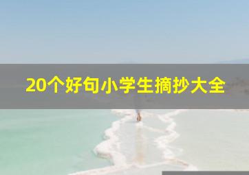 20个好句小学生摘抄大全