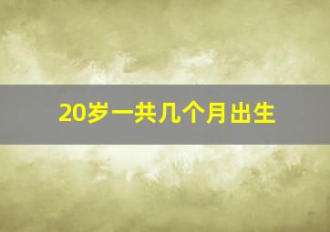 20岁一共几个月出生