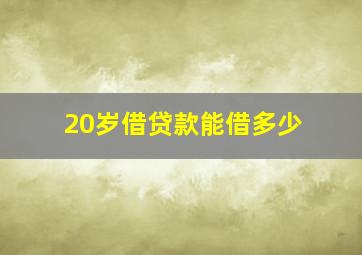 20岁借贷款能借多少