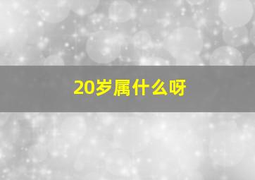 20岁属什么呀