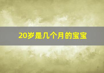 20岁是几个月的宝宝