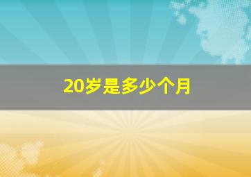 20岁是多少个月