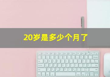 20岁是多少个月了