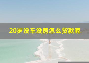 20岁没车没房怎么贷款呢