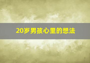 20岁男孩心里的想法