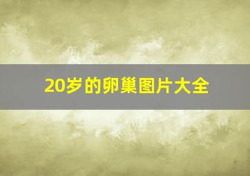 20岁的卵巢图片大全