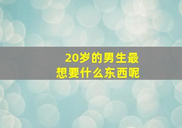 20岁的男生最想要什么东西呢