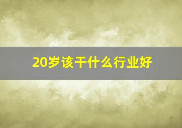 20岁该干什么行业好