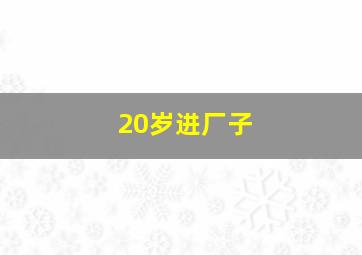 20岁进厂子