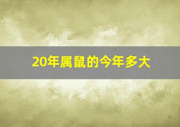 20年属鼠的今年多大