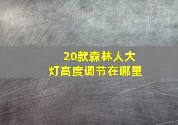 20款森林人大灯高度调节在哪里