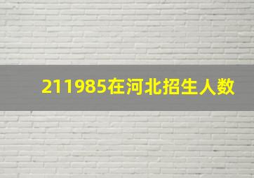 211985在河北招生人数