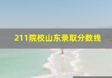 211院校山东录取分数线