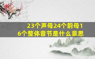 23个声母24个韵母16个整体音节是什么意思