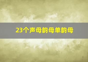 23个声母韵母单韵母