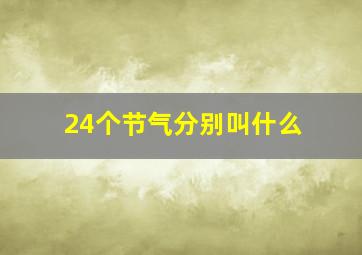 24个节气分别叫什么