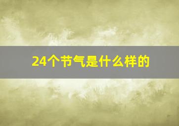 24个节气是什么样的