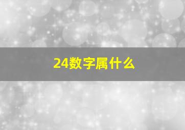 24数字属什么