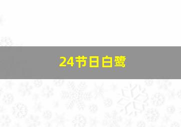 24节日白鹭