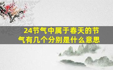 24节气中属于春天的节气有几个分别是什么意思