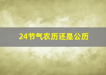 24节气农历还是公历