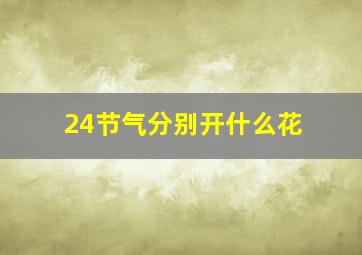 24节气分别开什么花