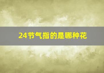 24节气指的是哪种花