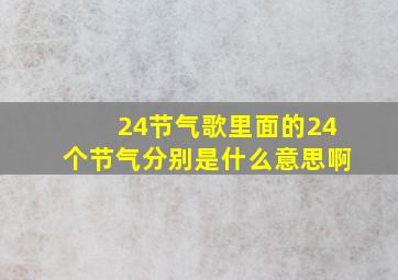 24节气歌里面的24个节气分别是什么意思啊