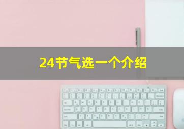 24节气选一个介绍