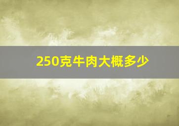 250克牛肉大概多少