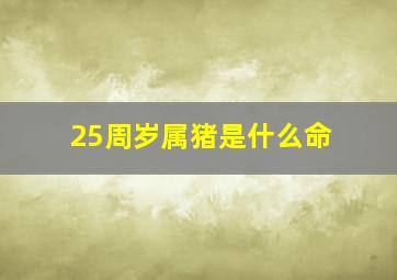 25周岁属猪是什么命