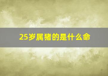 25岁属猪的是什么命