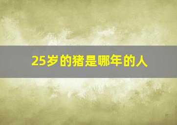 25岁的猪是哪年的人