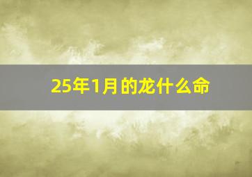 25年1月的龙什么命