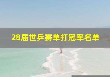 28届世乒赛单打冠军名单