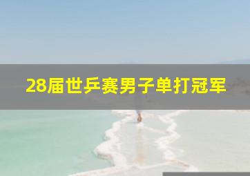 28届世乒赛男子单打冠军