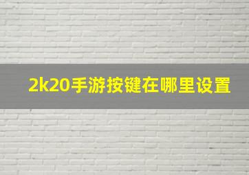 2k20手游按键在哪里设置