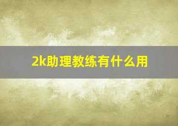 2k助理教练有什么用