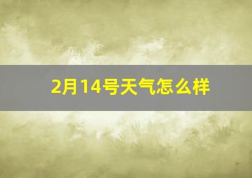 2月14号天气怎么样