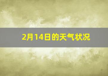 2月14日的天气状况