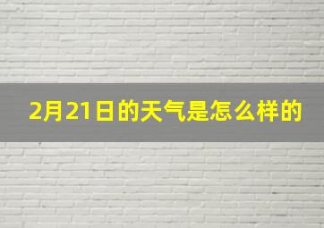 2月21日的天气是怎么样的